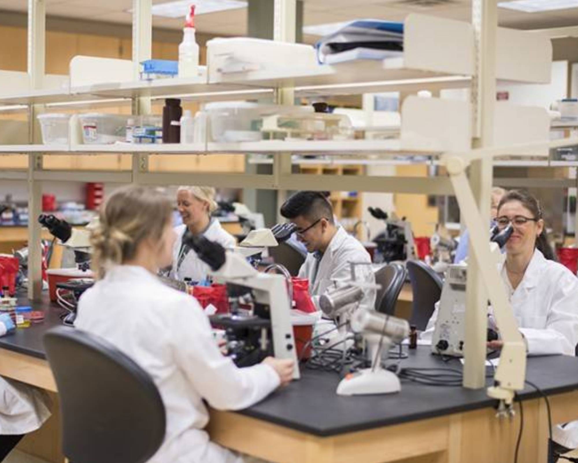 Students Working in a CHS Lab
